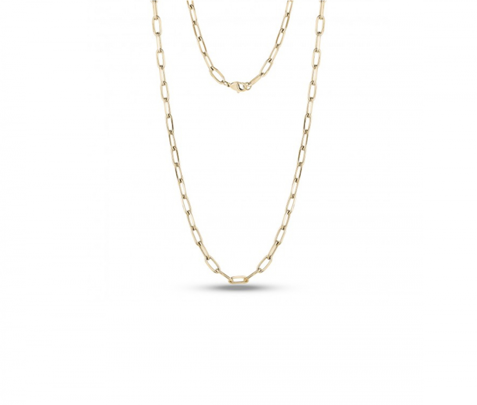 CHAÎNE EN ACIER/PVD OR MAILLE TROMBONE - AZ SSN103G24 - AREZZO CHAÎNE EN ACIER/PVD OR MAILLE TROMBONE - AZ SSN103G24 - AREZZO