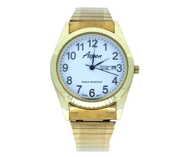 MONTRE POUR HOMME ASPEN EN ACIER/PVD OR - BA AP3031 - ASPEN
