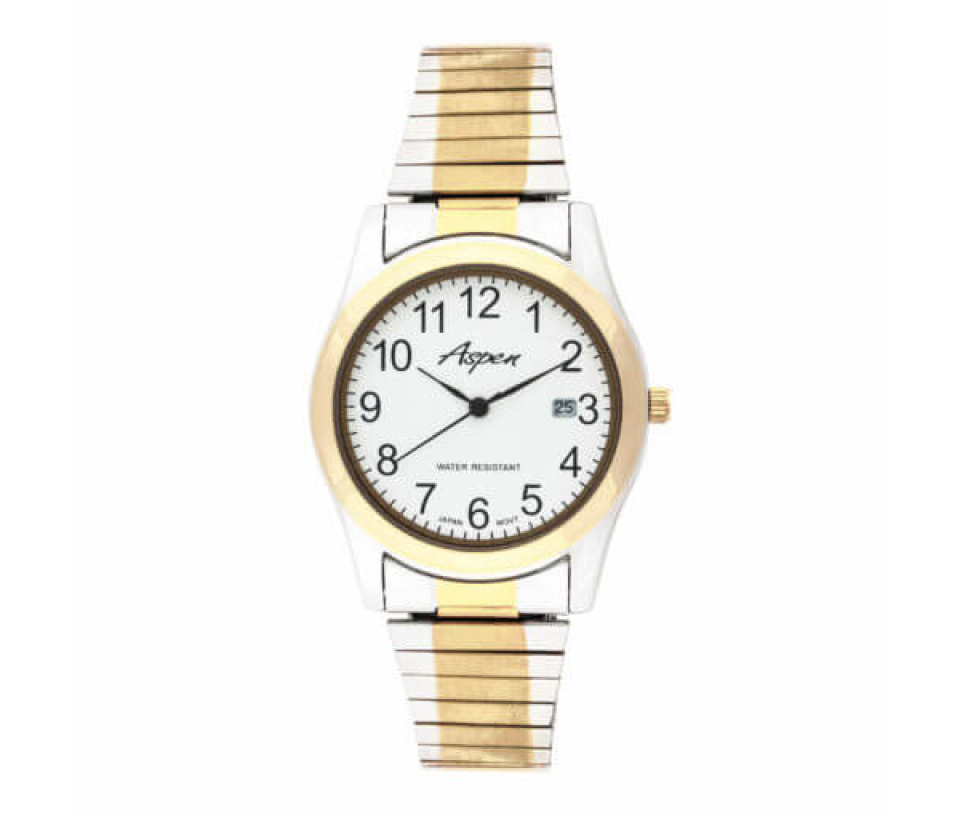 MONTRE POUR HOMME ASPEN EN ACIER/PVD OR 2 TONS - BA AP3037 - ASPEN