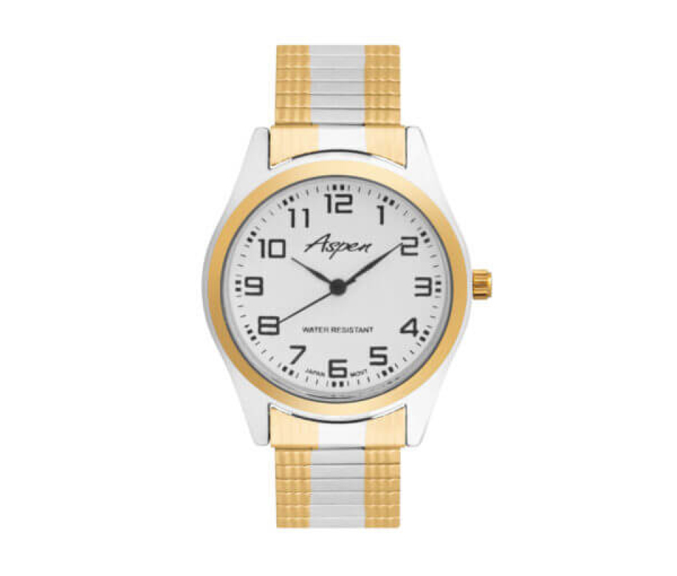 MONTRE POUR HOMME ASPEN EN ACIER/PVD OR 2 TONS - BA AP3079 - ASPEN