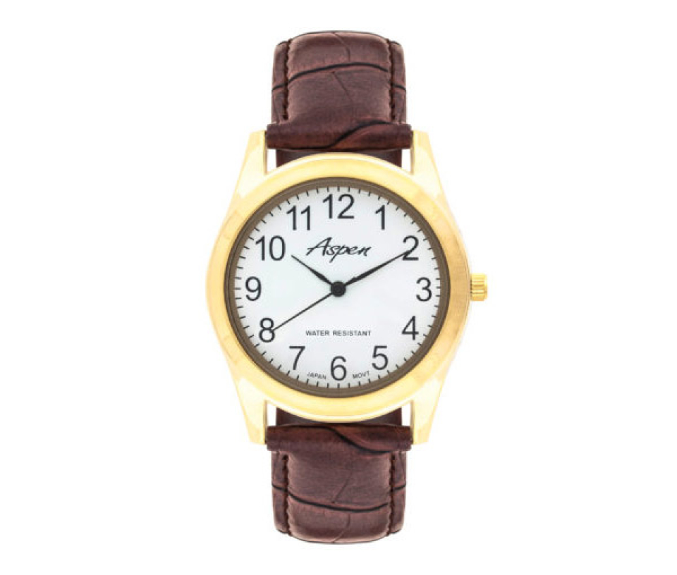 MONTRE POUR HOMME ASPEN EN ACIER/PVD OR - BA AP3011BR - ASPEN