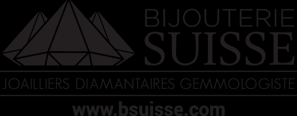 MONTRE ASPEN POUR DAME EN ACIER - BA AP3177/1NR - ASPEN